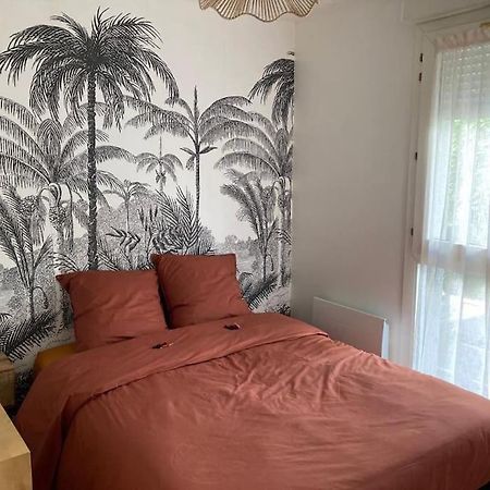 Charmant T2 Dans Toulouse Dış mekan fotoğraf