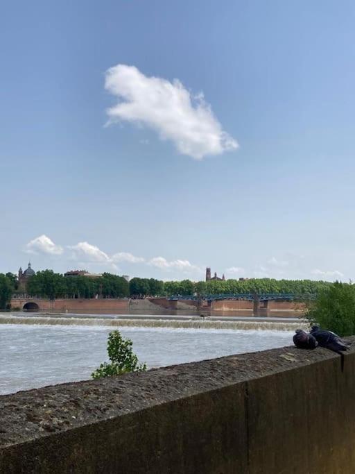 Charmant T2 Dans Toulouse Dış mekan fotoğraf